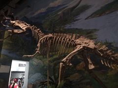 -自贡恐龙博物馆