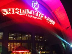 -灵玲国际马戏城