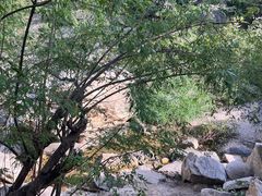 -黑龙潭风景区