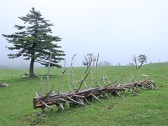 -老秃顶草原景区