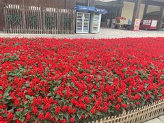 -黄龙溪欢乐田园