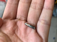 -京东养车(立汤路店)