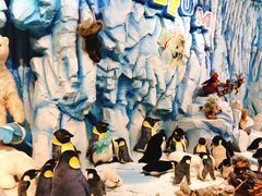 -济州岛泰迪熊博物馆