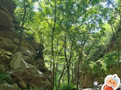 -大岭沟猕猴桃谷风景区