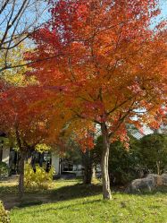 -禧园Joyous Garden ·宴会厅(禧园店)