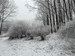 -太子岭滑雪场