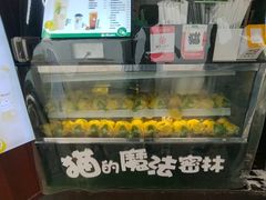 -猫的魔法密林(衣裳街店)