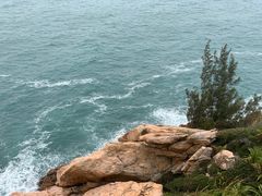 -广东惠东海龟国家级自然保护区