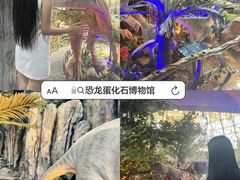 -中国西峡恐龙遗迹园