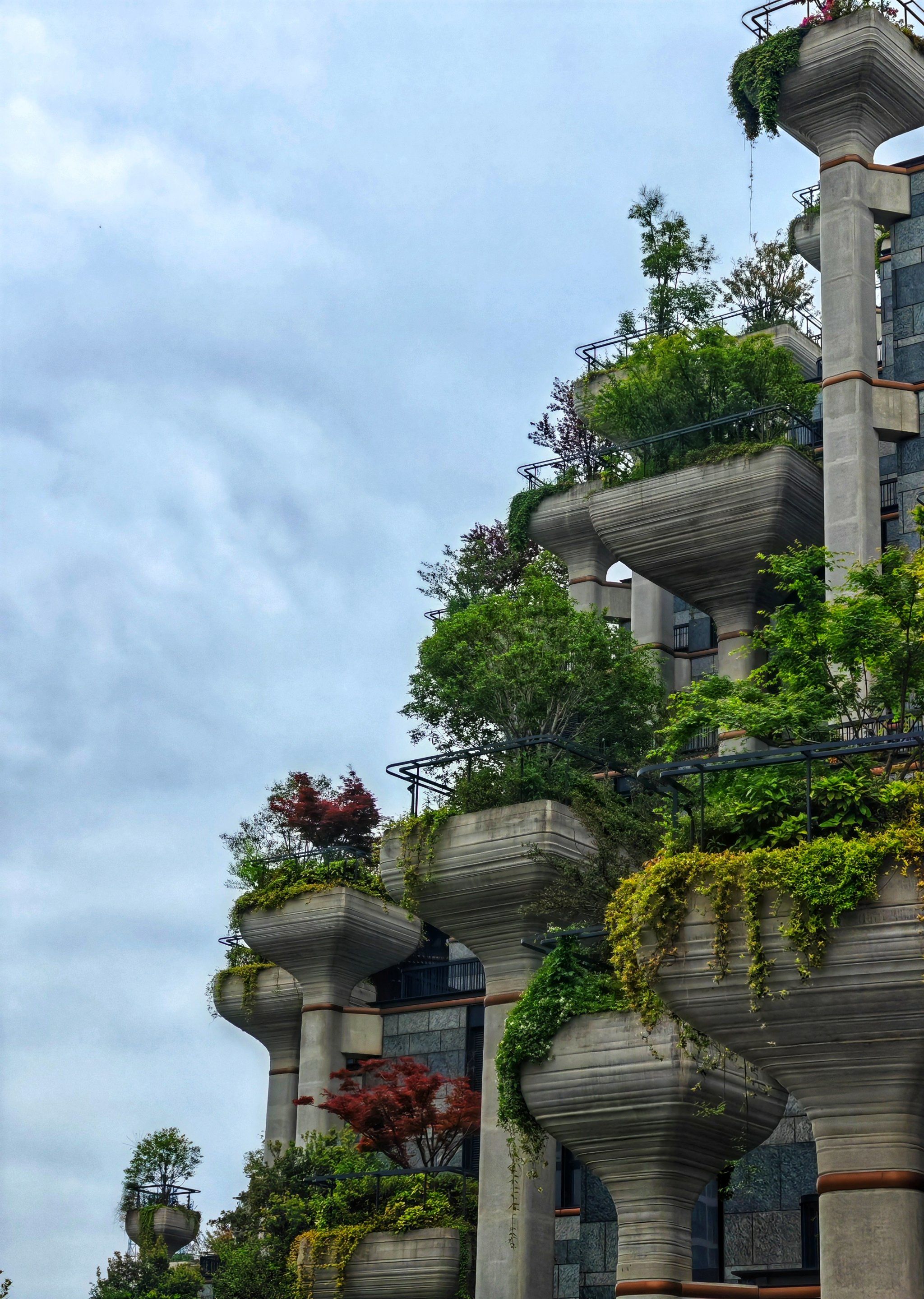 天安千树,体验升级了