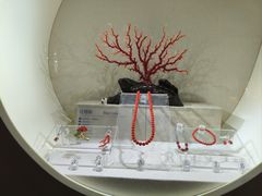 -安徽省地质博物馆