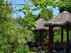 -莲花池公园