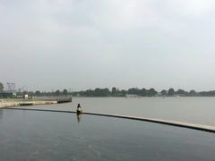 -上海月湖雕塑公园