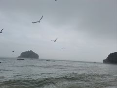 -棒棰岛宾馆景区