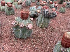 -南通洲际绿博园