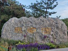 -马家湾湿地公园