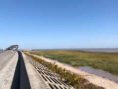 -南汇嘴观海公园