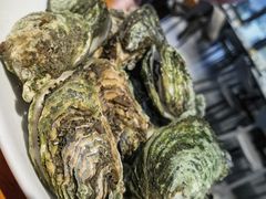 -南蚝小贝海鲜特色餐厅(南澳岛店)