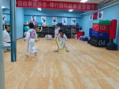 -嗨动跆拳道体能馆(菜百店)