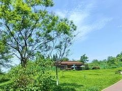 -桤木河湿地公园