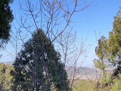 -北京西山国家森林公园