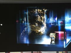 -米兰马尔彭萨国际机场