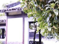 -峙山公园