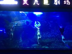 -多彩贵州城极地海洋世界