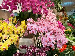 -双季花艺园艺市场(浦东店)