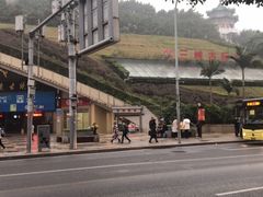 -三峡古玩城(泰古广场店)