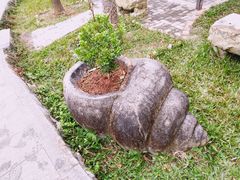 -靖西鹅泉风景区