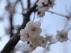-迎泽公园