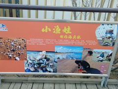 -刘家湾赶海园