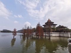 -顺峰山公园