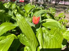 -哈尔滨文化公园