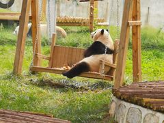 -西安秦岭野生动物园