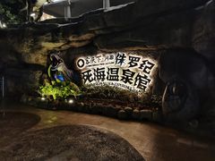 -河源客天下-温泉小镇