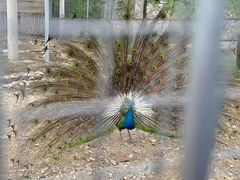 -大连天门山国家森林公园