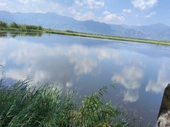 -野鸭湖国家湿地公园