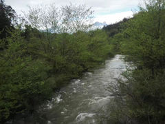 -祁门牯牛降观音堂风景区