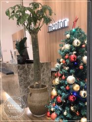 -Mentor Hair Salon