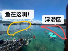 -海南分界洲岛旅游区