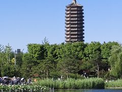 -西海子公园