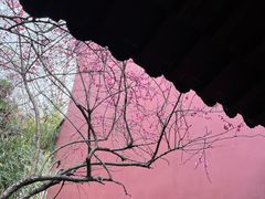-钱王祠