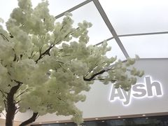 大堂-艾薯夫妇Aysh(福田星河COCOPark店)