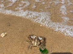 -石岛赤山风景区