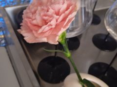 -王家渡火锅店(棕榈泉店)