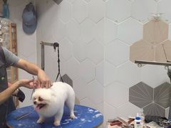 -瑞鹏宠物医院·骨科·猫科·内科(第一中心)