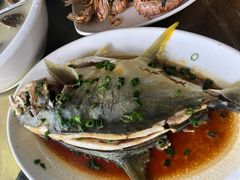 -明记海鲜大排档(巽寮湾店)