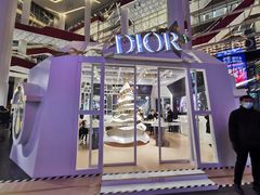 -Dior迪奥(上海世茂广场店)